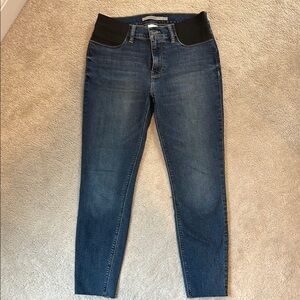 Hudson Jeans Women's Denim with Black Accents